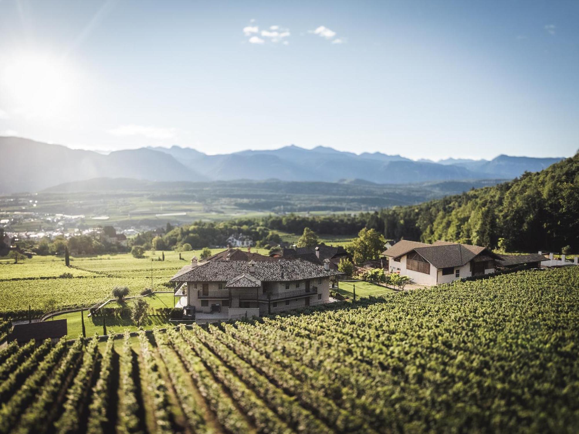 Appartement Nofnerhof à Appiano Sulla Strada Del Vino Extérieur photo