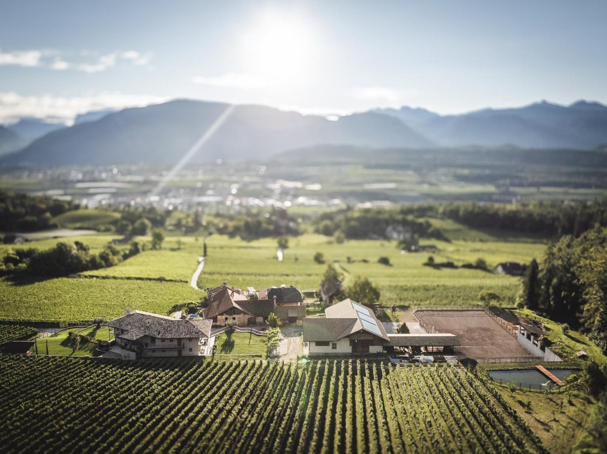 Appartement Nofnerhof à Appiano Sulla Strada Del Vino Extérieur photo