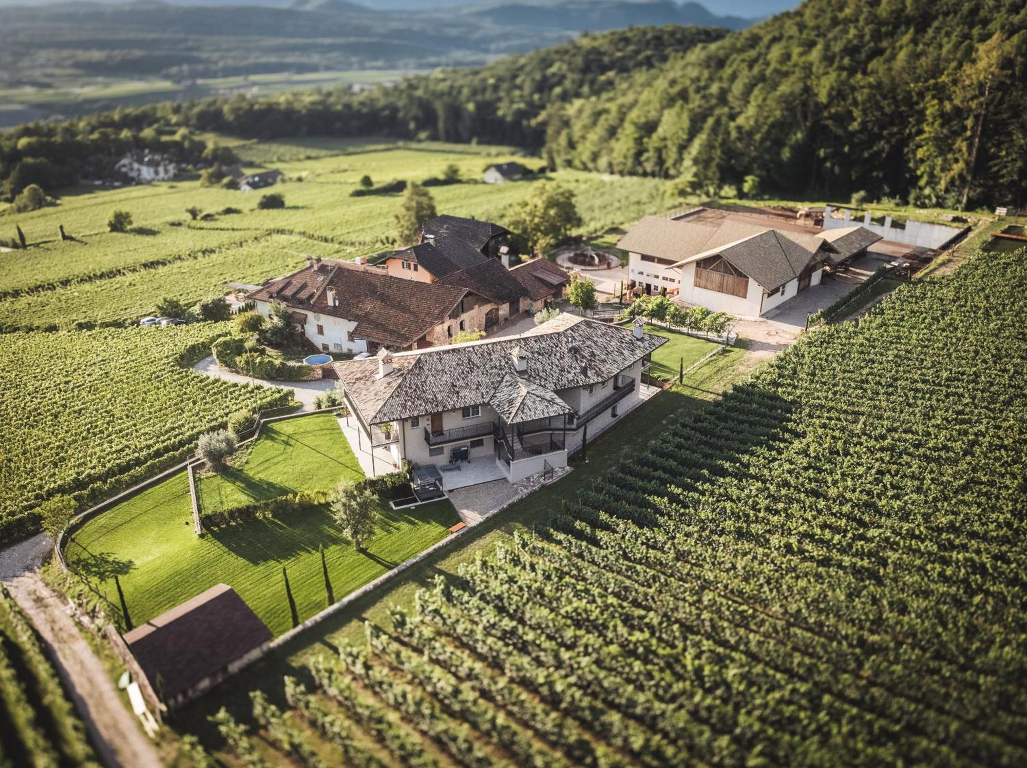 Appartement Nofnerhof à Appiano Sulla Strada Del Vino Extérieur photo
