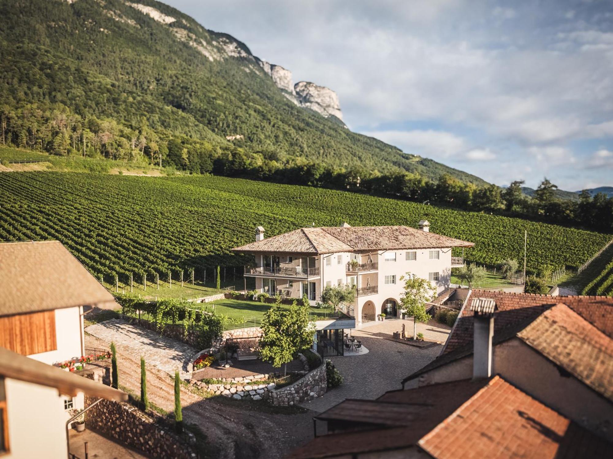 Appartement Nofnerhof à Appiano Sulla Strada Del Vino Extérieur photo